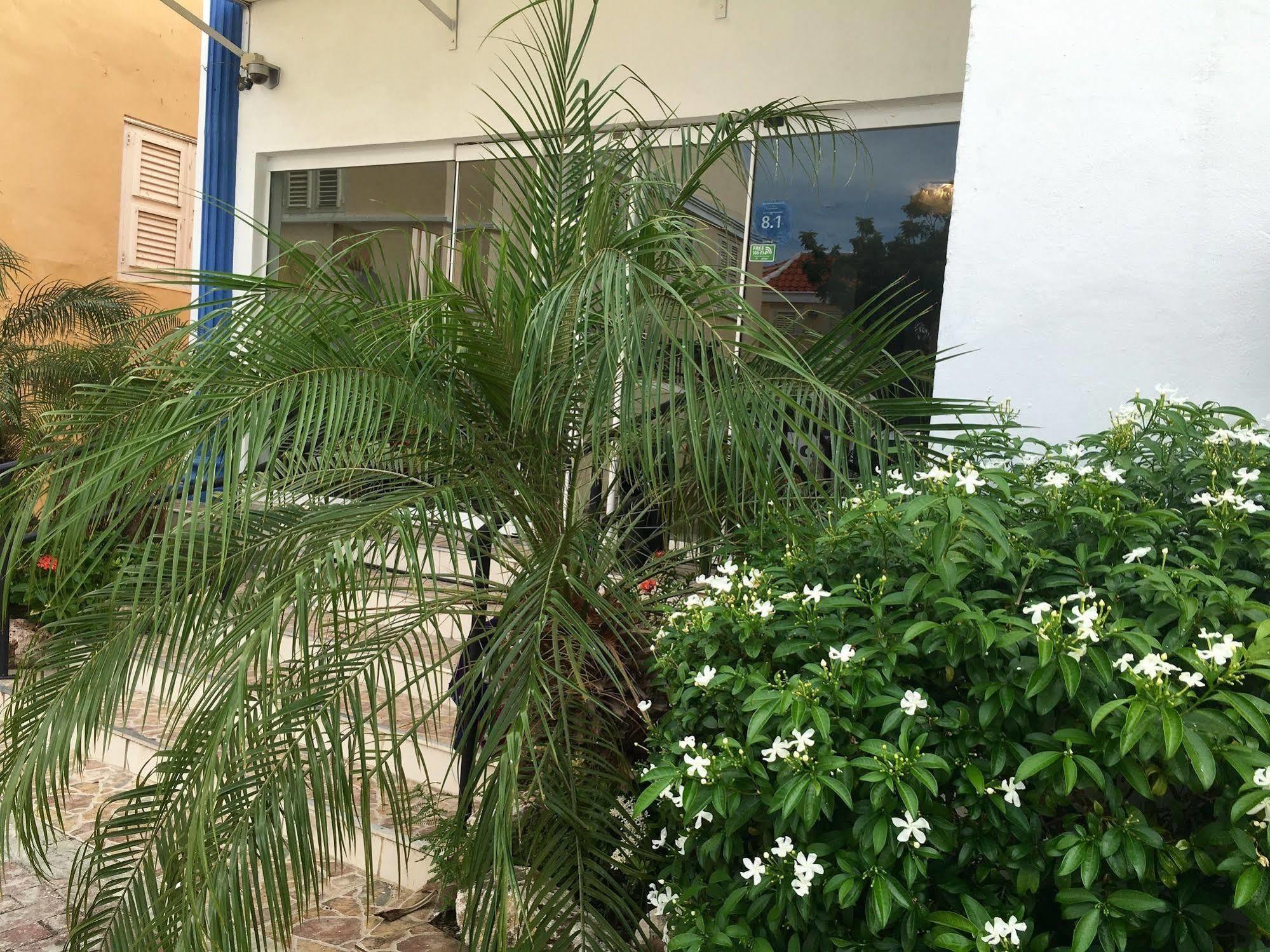 Curacao Suites Hotel ウィレムスタッド エクステリア 写真